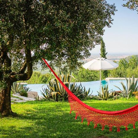 B&B Le Agavi Borso del Grappa Luaran gambar