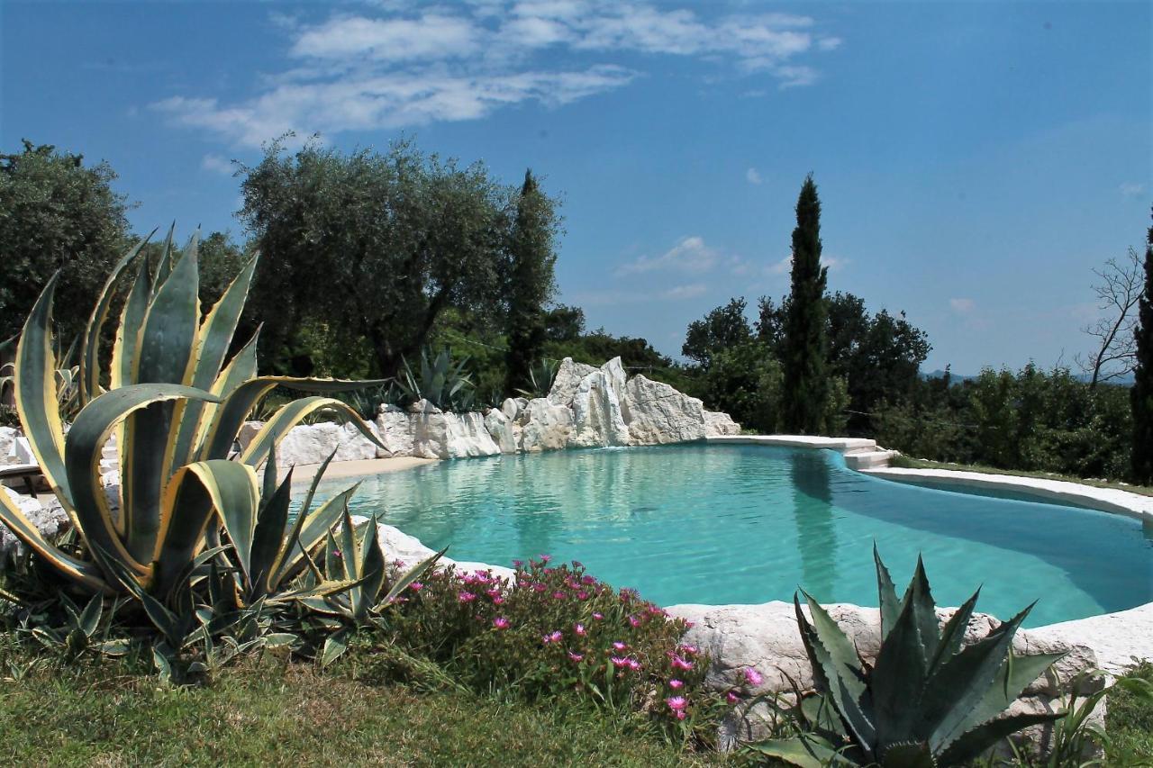 B&B Le Agavi Borso del Grappa Luaran gambar