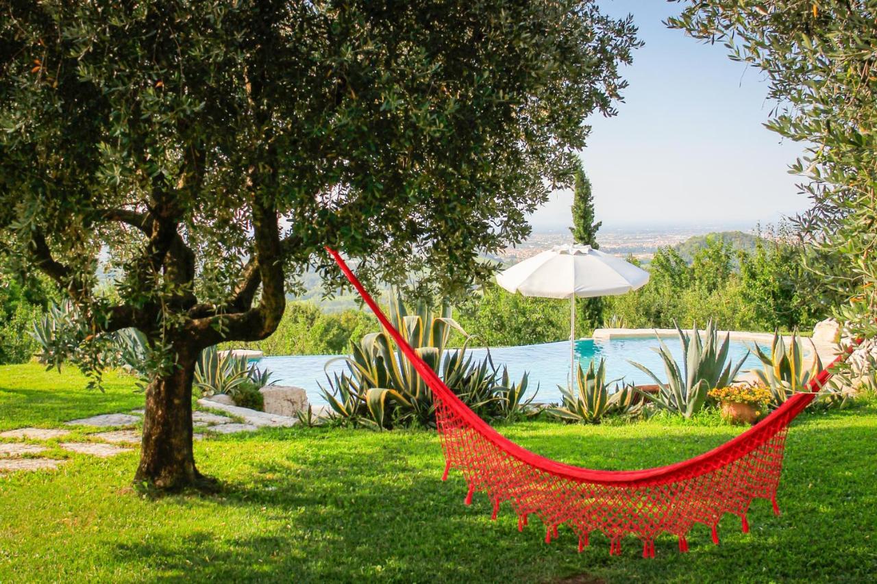 B&B Le Agavi Borso del Grappa Luaran gambar