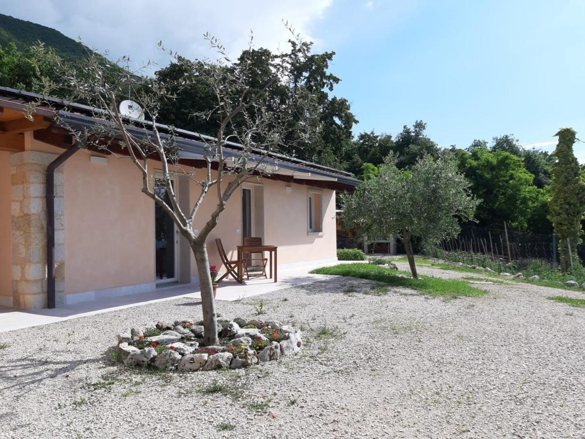 B&B Le Agavi Borso del Grappa Luaran gambar